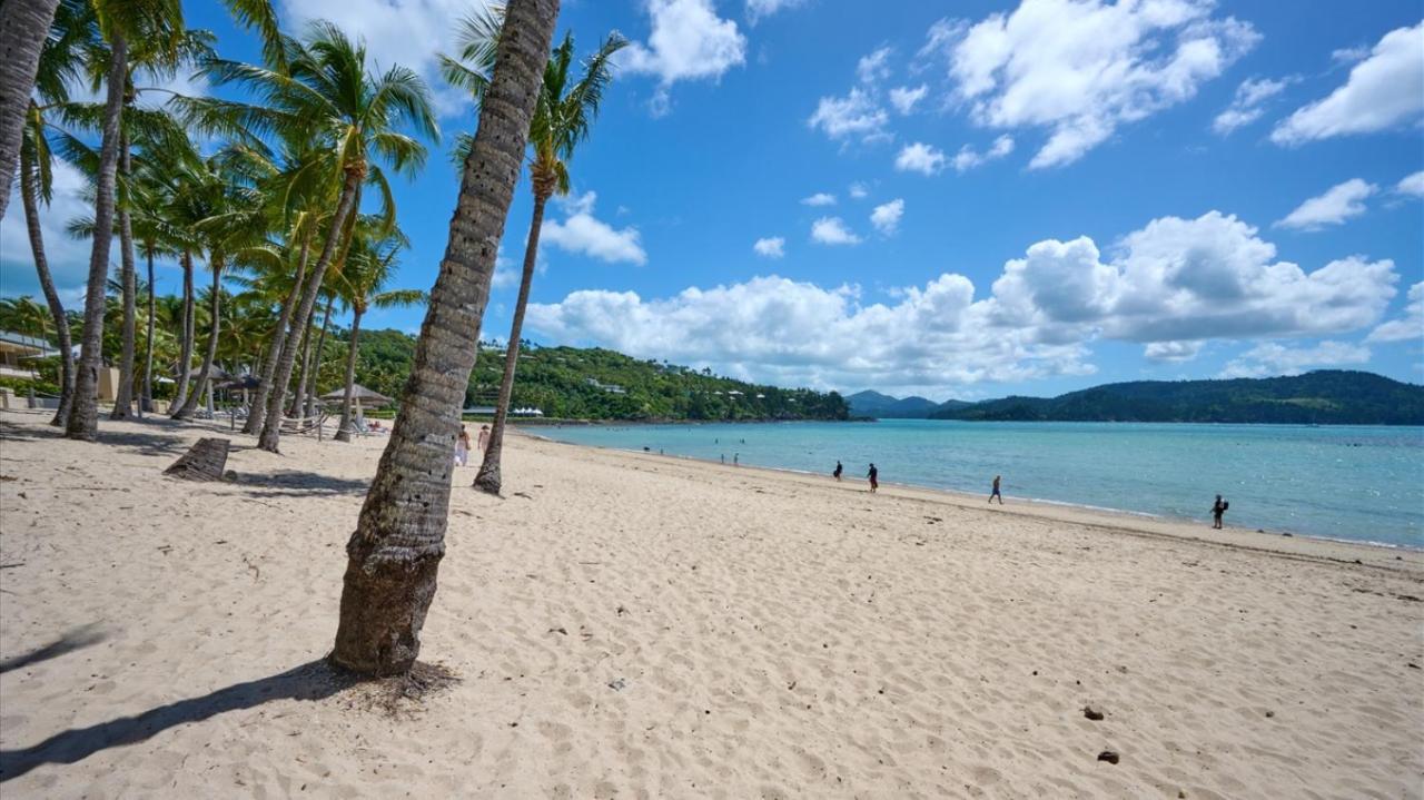 Yacht Club 19 Villa Bijou De Mer Ocean Front Private Pool 2 Buggies Hamilton Island Bagian luar foto